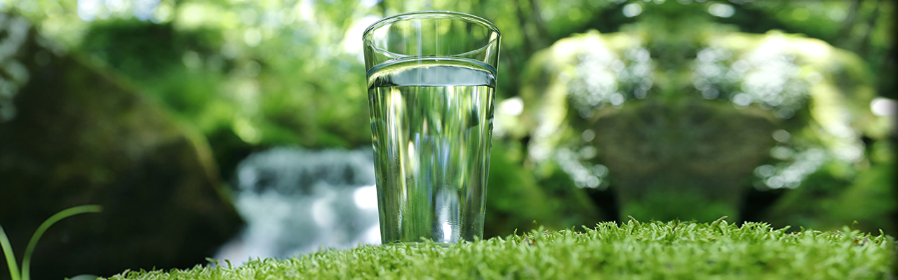 Wasserglas im Wald