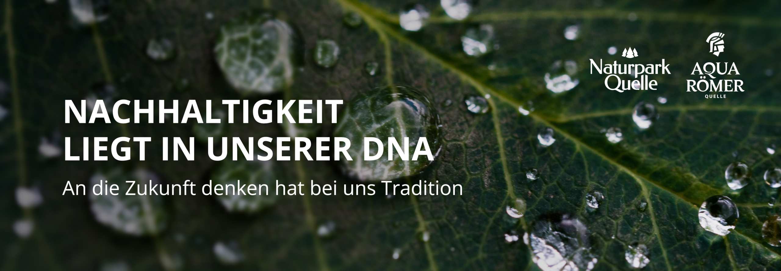 Teaser Nachhaltigkeit