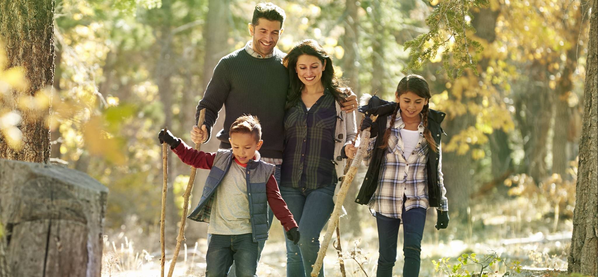 Mit der Familie unsere Wälder entdecken